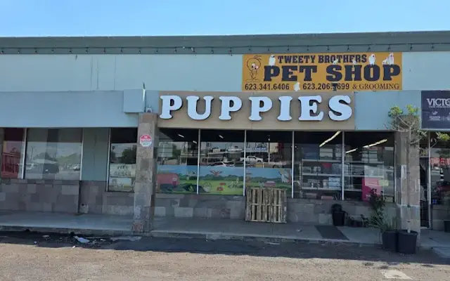Gil Pet Shop and Grooming in Phoenix, AZ