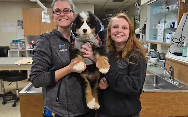 Community Animal Hospital in York, PA