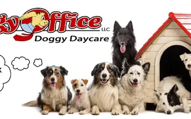 Doggy Office LLC in Milwaukee, WI