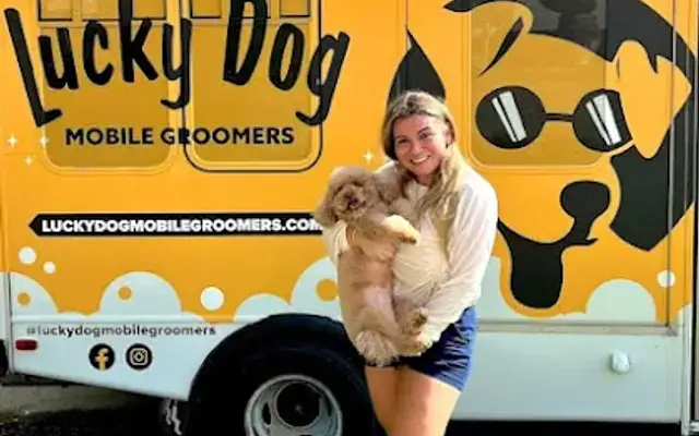 Lucky Dog Mobile Groomers - Raleigh, NC in Raleigh, NC
