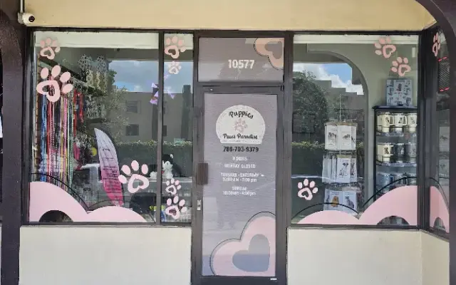 Amore Pet Grooming Kendall in Miami, FL