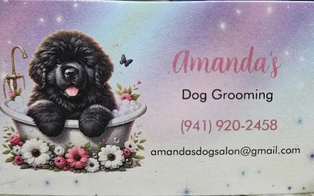 Amanda's Dog Grooming in Palmetto, FL