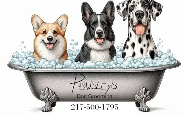 Pawsley’s Dog Grooming in Oblong, IL