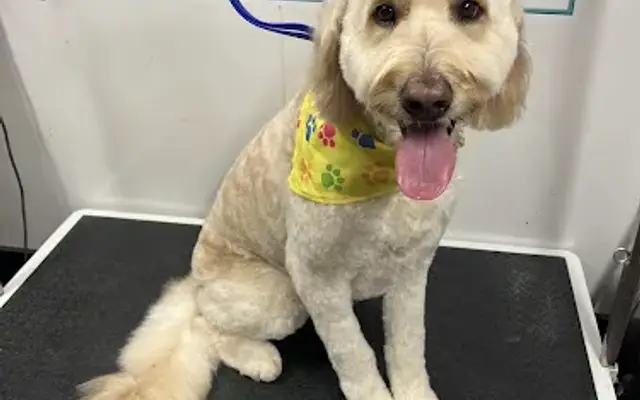 WagnWheelz Mobile Pet Spa in Fort Walton Beach, FL