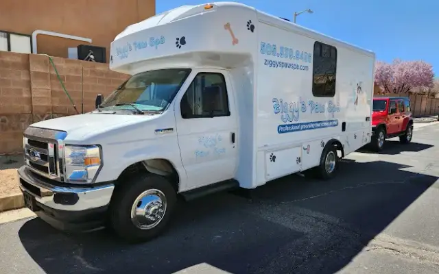 Ziggy's Paw Spa in Albuquerque, NM