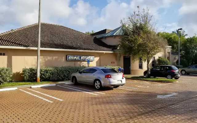 Boca Delray Animal Hospital in Delray Beach, FL