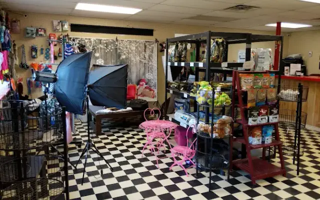 Stellar Canine in Carthage, TX