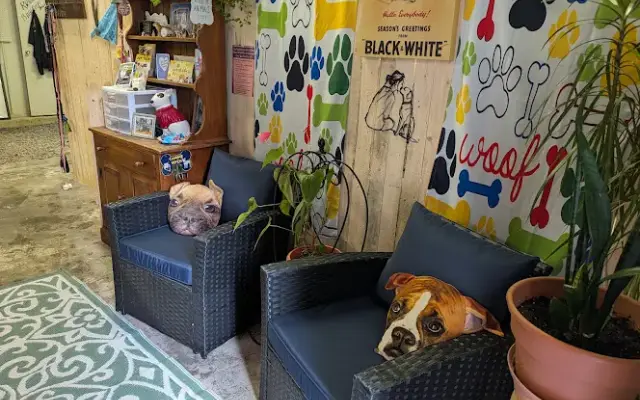 Pet Perfection in Clifton Park, NY