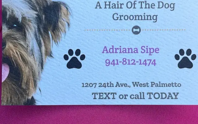 A Hair of the Dog Grooming in Palmetto, FL