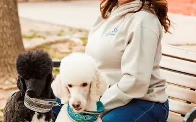 Fur-ever Fablous Pet Spa in Belton, TX