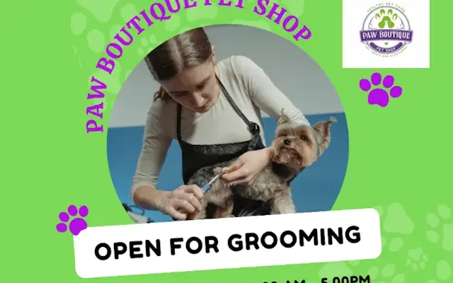 Paw Boutique Pet Shop in Franklin, MI