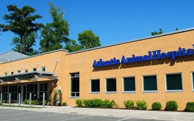 Atlantic Animal Hospital & Pet Care Resort in Wilmington, NC