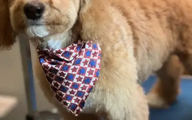 Two Moons Pet Spa in Covington, LA