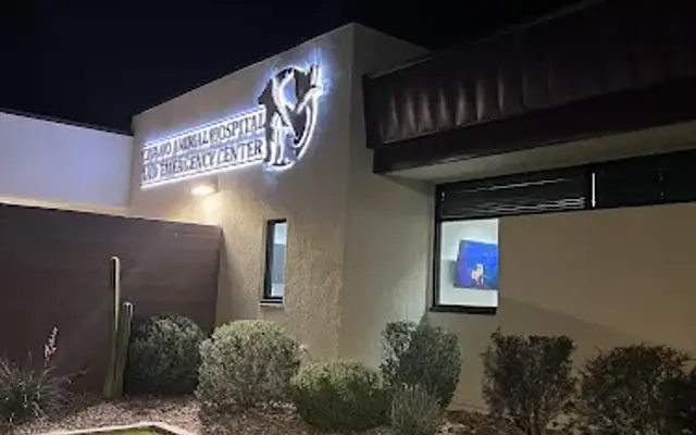 VCA Civano Animal Hospital and Emergency Center in Tucson, AZ