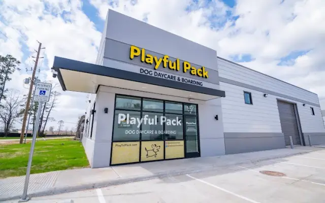 Playful Pack in Conroe, TX