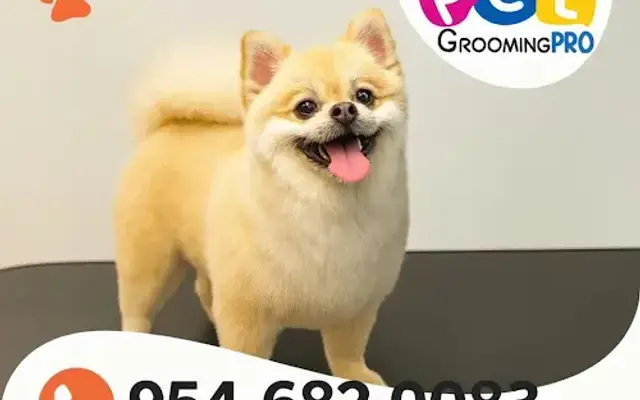 Mobile Pet Grooming PRO D&B in Boynton Beach, FL