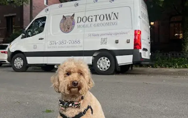 Dogtown Mobile Grooming in Burr Ridge, IL