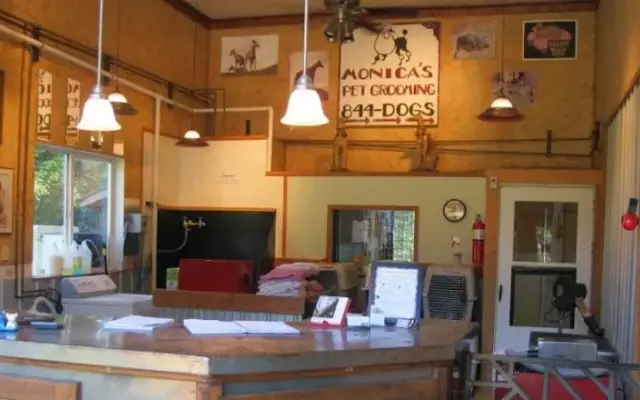 Monica's Pet Grooming & Boarding in Lakeside, MT