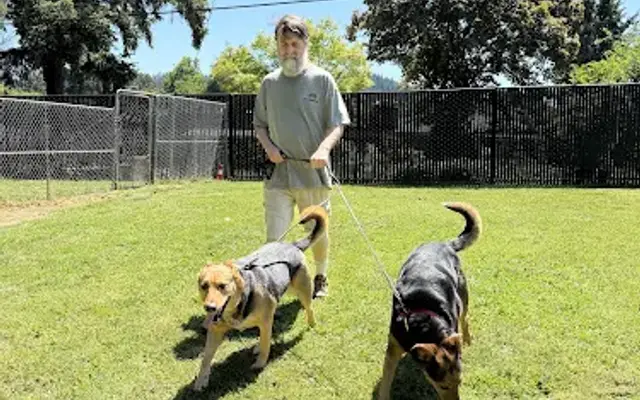 Von Dubinhaus Dog Training Services in Portland, OR