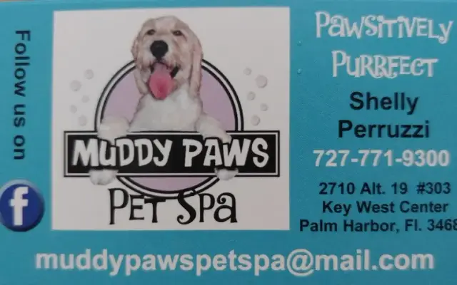 Muddy Paws Pet Spa of Palm Harbor Inc. in Palm Harbor, FL