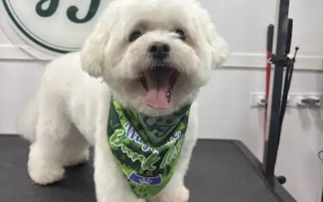 Grooming Town in Chesterfield, NJ