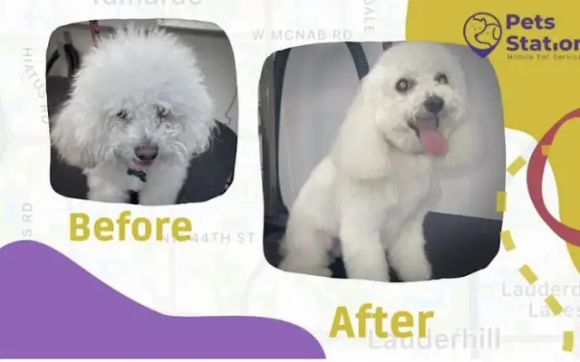 Pets Station Mobile Grooming in Plantation, FL