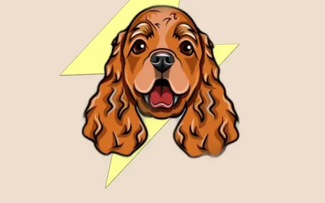 Storms Grooming & In- Home Boarding in Tucson, AZ