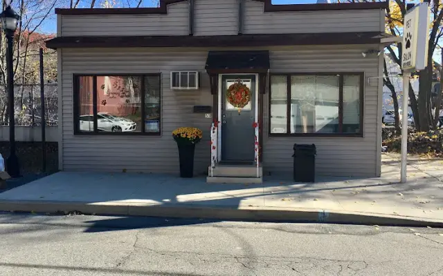 Pampered Pooch in Archbald, PA