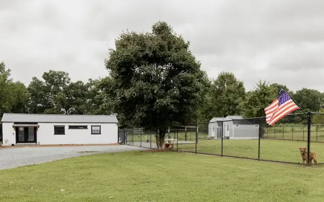 Dandelion Paws, LLC in Marshville, NC