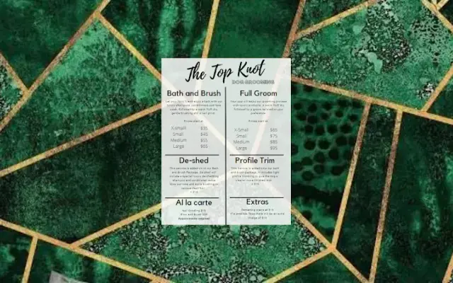 The Top Knot Dog Grooming LLC in Royersford, PA