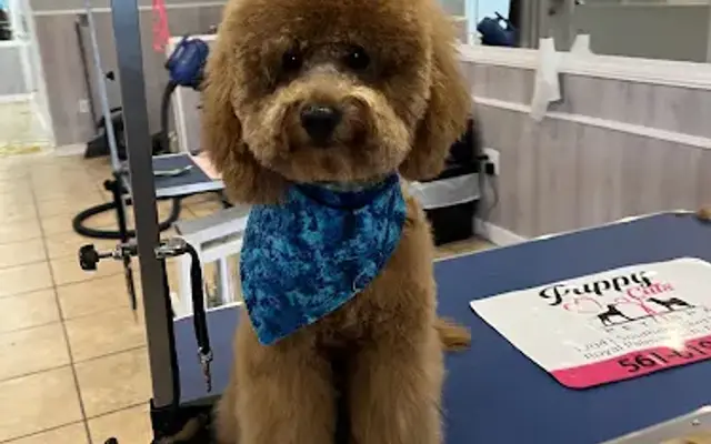 Puppy Cuts Pet Spa in Loxahatchee, FL