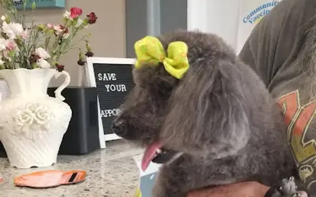 FreeStyle Grooming in Rosenberg, TX