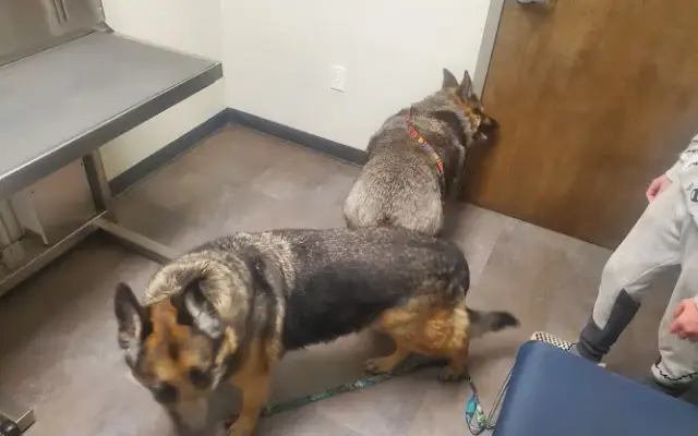 Seville Animal Hospital in Seville, OH