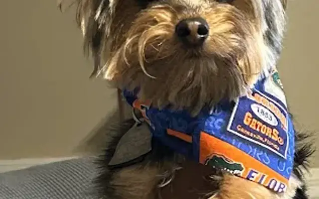 OneWorld Pet Resort in Anniston, AL