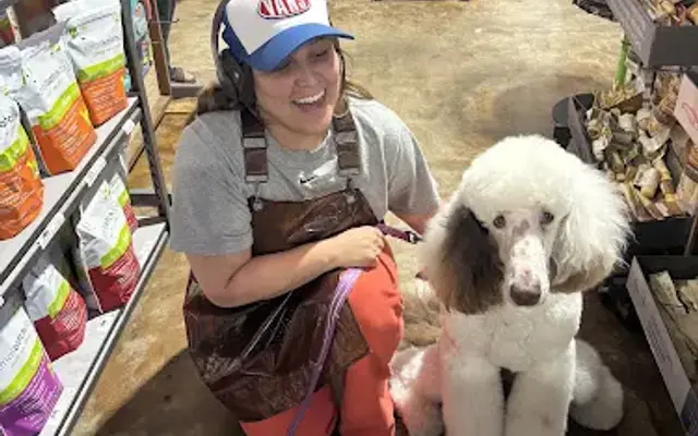 lauren rock grooming in Riverside, CA