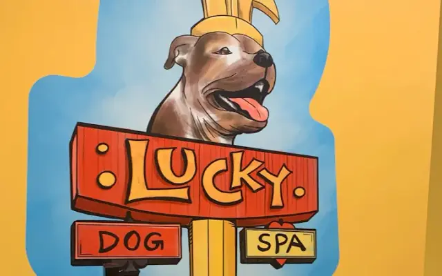 Lucky Dog Spa in Phoenix, AZ
