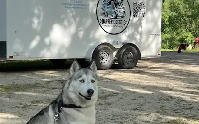 Dapper Doggies Mobile Grooming in Midland, MI