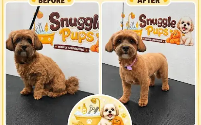 Snuggle Pups Mobile Grooming in Danville, CA