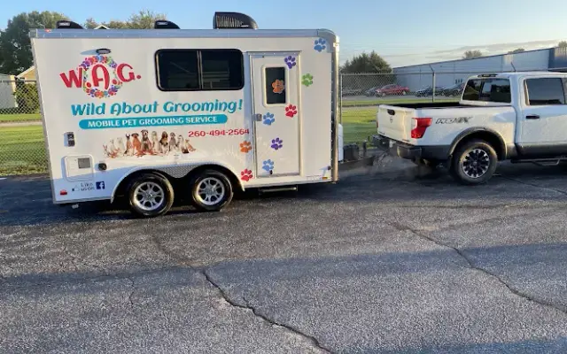 Wild About Grooming in San Antonio, TX