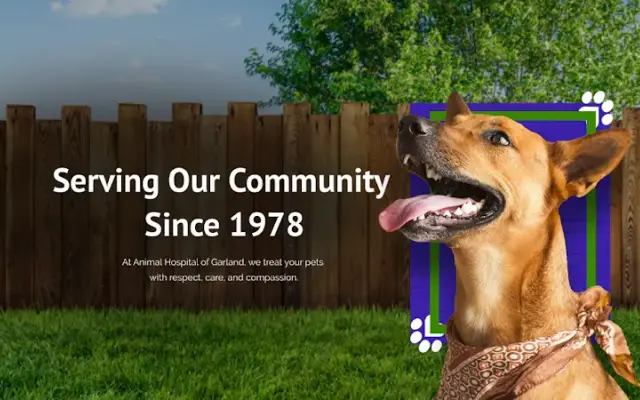 Animal Hospital of Garland in Garland, TX