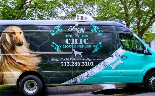 Shaggy to Chic Mobile Pet Spa in Goshen, OH