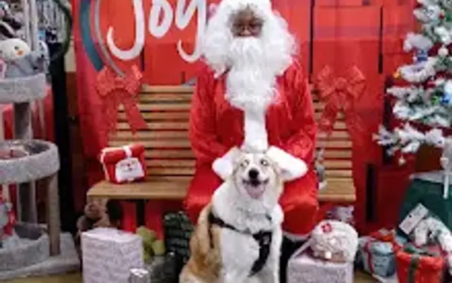 PetSmart Grooming in Tucker, GA