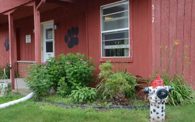 Becky's Dog Grooming in New London, WI