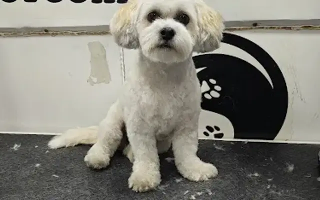 Magnolia Mobile Pet Spa in Aurora, CO