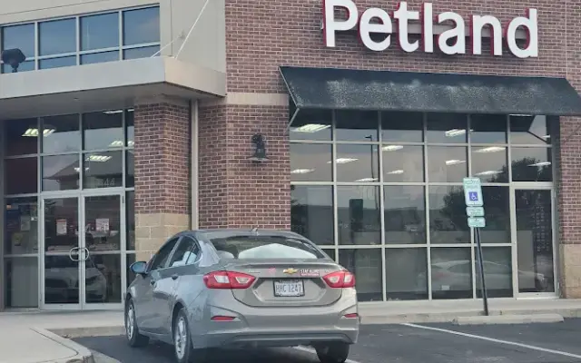 Petland Dayton in Dayton, OH