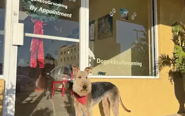 Dogs 4 Eco Grooming in Stuart, FL