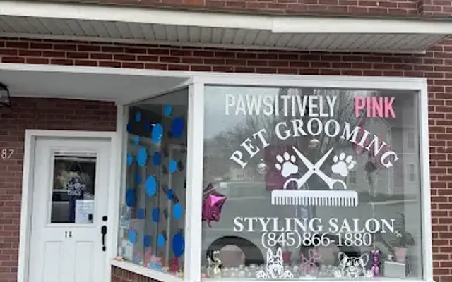 Pawsitively Pink Dog Grooming in Wurtsboro, NY
