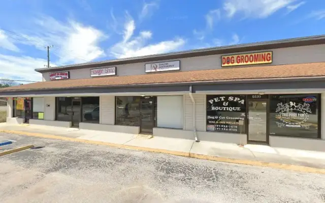 Dog Grooming in New Port Richey, FL