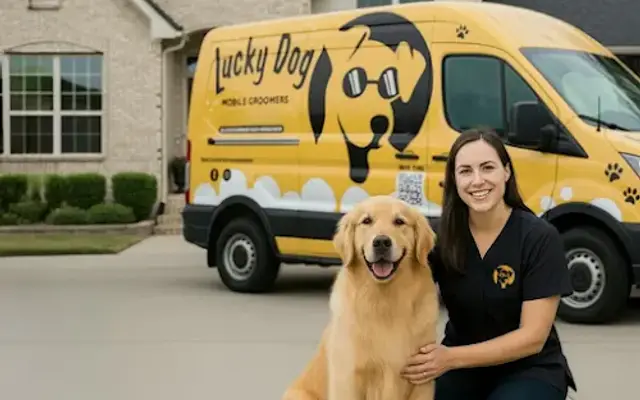 Lucky Dog Mobile Groomers - North Dallas in Little Elm, TX