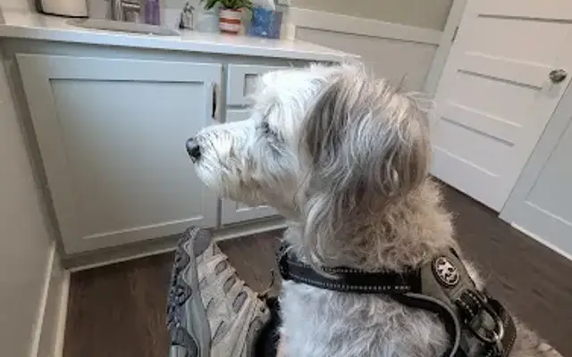 Camden Veterinary Hospital in Camden, SC